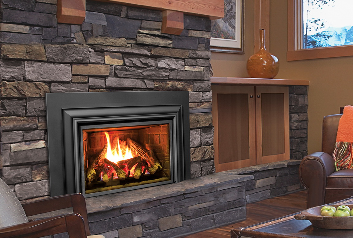 Gas Fireplace Blower Insert | Home Design Ideas