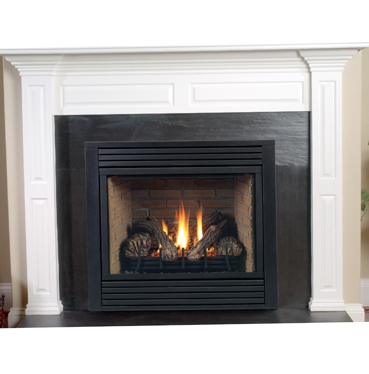 B Vent Fireplace Vs Direct Vent | Home Design Ideas