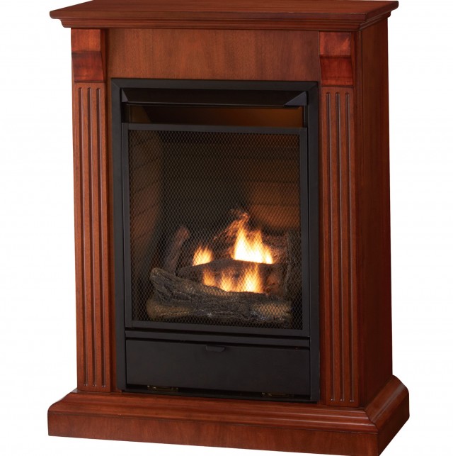 Free Standing Gas Fireplace Vent Free 640x643 